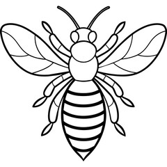           Asian giant hornet bee vector illustration.
