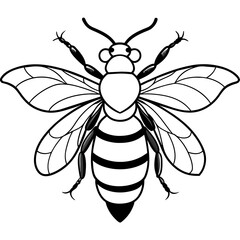           Asian giant hornet bee vector illustration.
