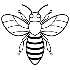           Asian giant hornet bee vector illustration.
