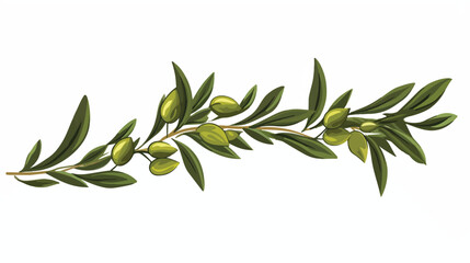 Sketch element. Olive branches isolated. Vector han