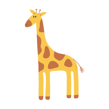 Cute giraffe isolated on white background. Vector illustration of hand drawn giraffe.