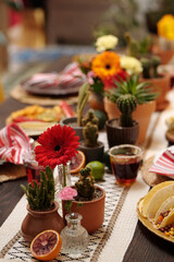 Composition consisting of red gerbera in glass standing next to flowerpots with cactuses, bottle with pink rose and half of sweet orange or grapefruit - obrazy, fototapety, plakaty