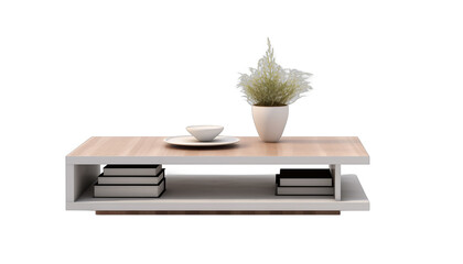 A stylish coffee table with a bowl and a plant on it
