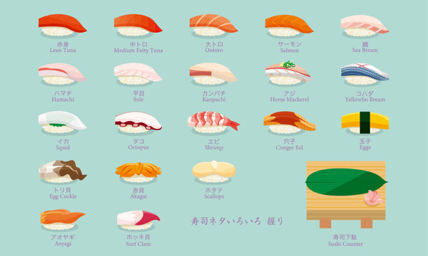 寿司ネタいろいろ 握り寿司