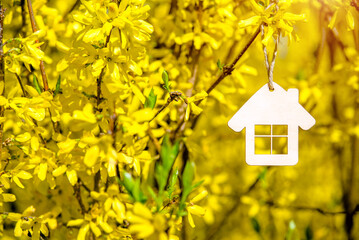 The symbol of the house among the branches of the Forsythia