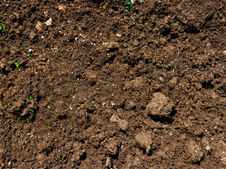 dark brown soil dirt texture | Dirt Soil Background From Nature