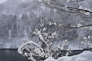 福井県の九頭竜への道