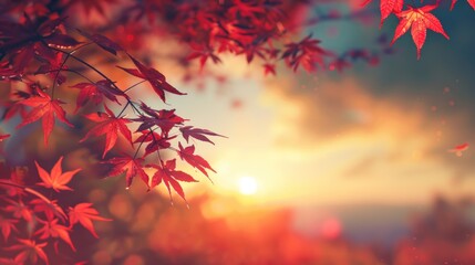 Red autumn leaves with sun set in the background AI generated