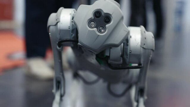 The Robot Dog Looks at the Camera and Shows What It Can Do. Newest Robot Product. Technology and Robot Concept