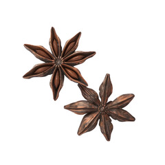 Two star anise flowers on a Transparent Background