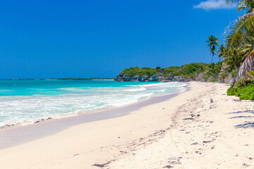 Fototapeta na wymiar Paradise beach of the Caribbean Sea