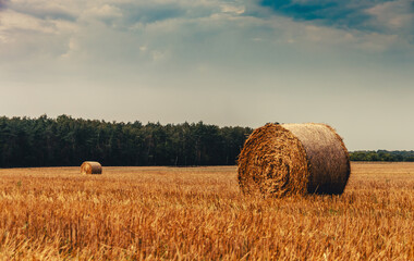 polish country field hay bales straw
