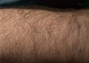 Hairy hand, arm in sun light, body hair close up in sun light in detail