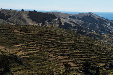 Close up of hill with terraces on Isla Del Sol in Bolivia