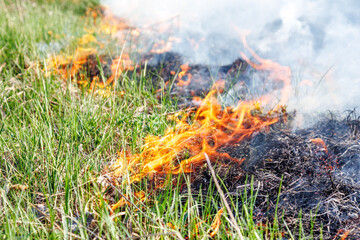 Burning dry grass on field close up. Fire in the field. Environmental disaster, environment, climate change, environmental pollution.