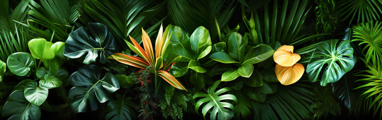 Various of beautiful tropical floral plant decoration.botany greenery in luxurious style.beautiful leaves nature wallpaper design background. - obrazy, fototapety, plakaty