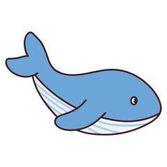 shark sea animal vector illustration. whale fish marine icon