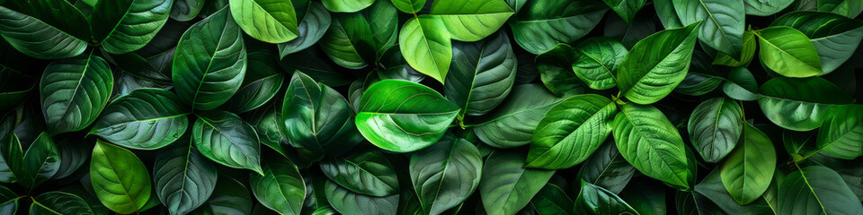 Lush Green Foliage Background with Vibrant Tropical Leaves