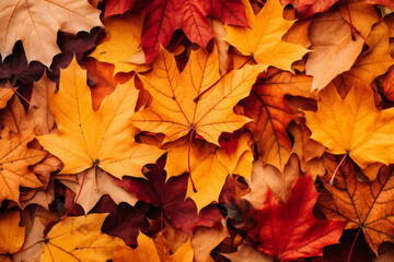 Naklejka na ściany i meble Vibrant Autumn Leaves Background - A Tapestry of Fall Colors