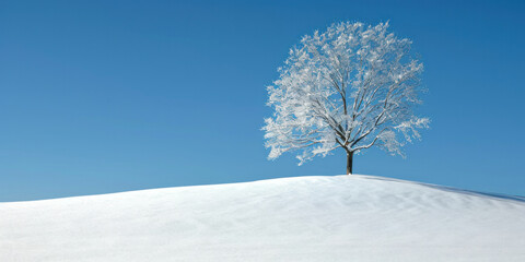 Majestic lone tree standing on snowy hill against clear blue sky