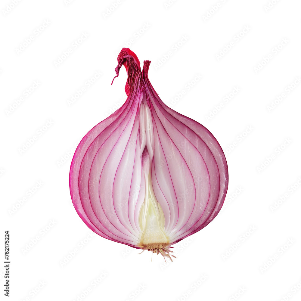 Poster a close up of a red onion on a transparent background