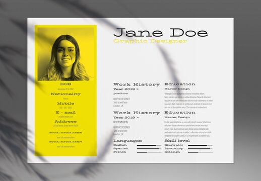 Professional Curriculum Vitae Layout