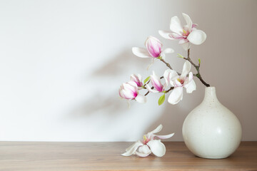 magnolia flowers in vase in white background - 782182817
