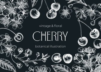 Berry fruit background. Cherry berries, leaves, flowers sketches on chalkboard. Cherry blossom hand-drawn vector illustration. Floral frame design. NOT AI genereted