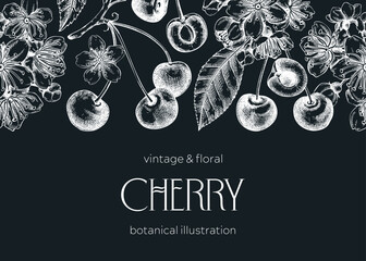 Berry fruit background. Cherry berries, leaves, flowers sketches on chalkboard. Cherry blossom hand-drawn vector illustration. Floral frame design. NOT AI genereted