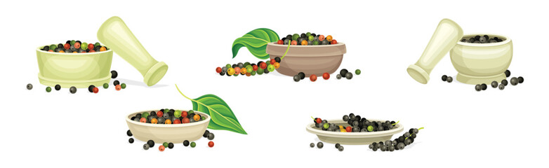 Black Pepper Plant with Green Leaf and Peppercorn Vector Set