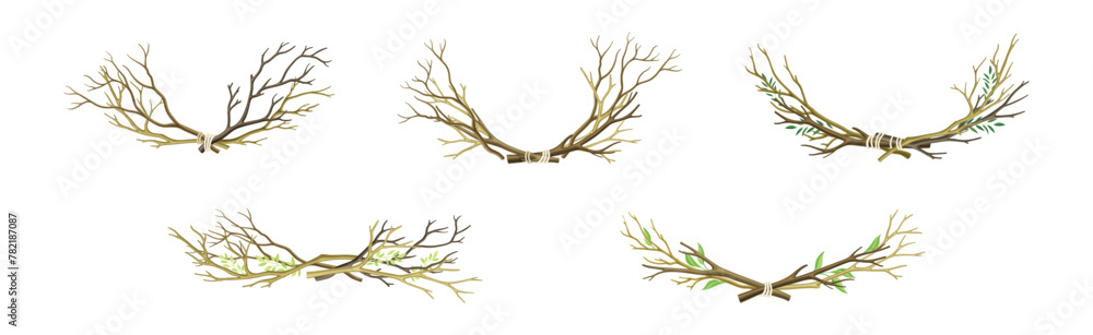 Poster bare tree branch entangled in semi circle vector set
