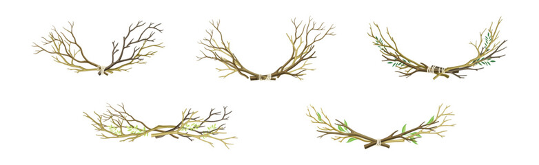 Bare Tree Branch Entangled in Semi Circle Vector Set - obrazy, fototapety, plakaty