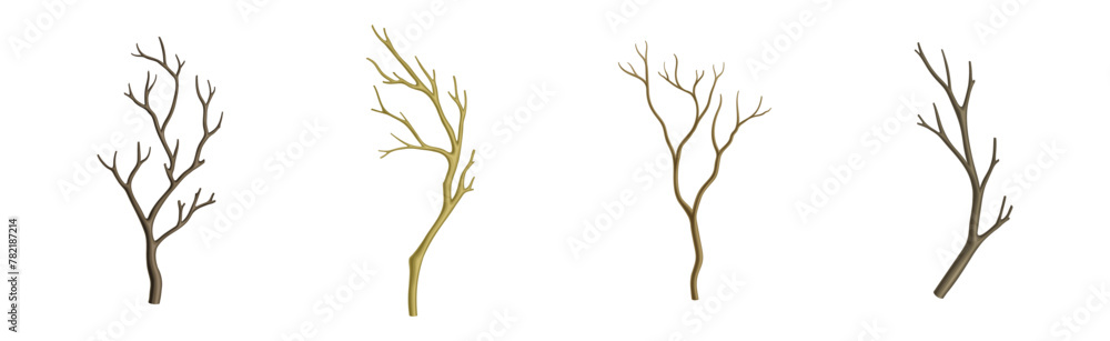 Poster bare tree branch with stem and limb vector set