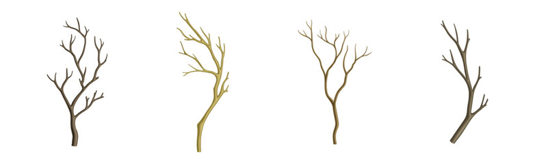 Bare Tree Branch with Stem and Limb Vector Set - obrazy, fototapety, plakaty