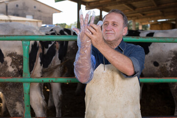 Farmer prepares for artificial insemination of cows