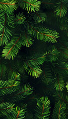 Fototapeta na wymiar Green fir branches texture