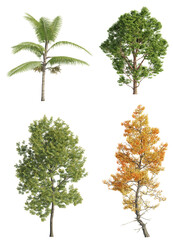 Fototapeta na wymiar Various trees on transparent background, cutouts 3D rendering for illustration & digital composition