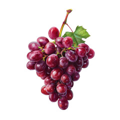 Fototapeta premium Close-up of grapes and leaf on Transparent Background