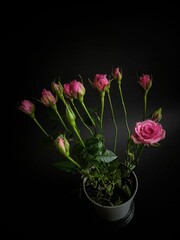 bouquet of roses in vase
