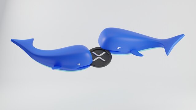 blue whale investor biting and fight for xrp cryptocurrency