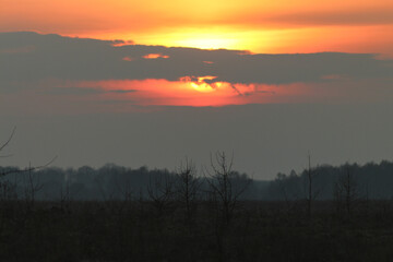 The Sunset Over The Spring Fields