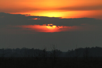 The Sunset Over The Spring Fields