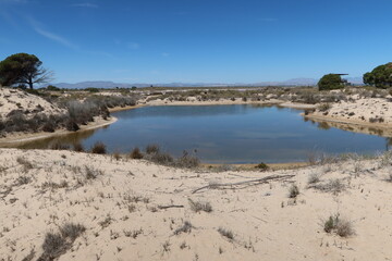 Salinas El Pinet, La Marina, Alicante, Spain, April 10, 2024: Small lagoon between the dunes in the Salinas del Pinet, La Marina, Alicante, Spain