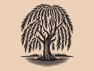 Willow tree. Old vintage engraving illustration. Hand drawn outline graphic. Logo, emblem, icon. Isolated object, cut out. black and white  © Victoria