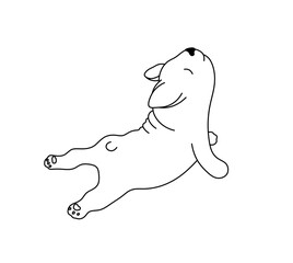 Vector isolated french bulldog dog puppy lying in funny pose  colorless black and white contour line easy drawing