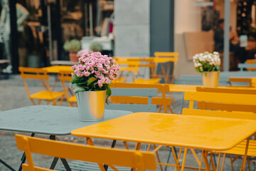 yellow bar table on the street with flower, cafe terrace, vacation, Netherlands
