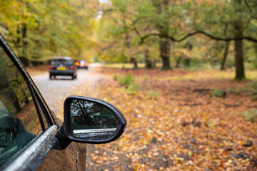 rearview mirror with autumn colorful forest background, concept of autumn travel