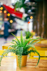 Close-up of cafe terrace with blurry street, vacation, Drieharingstraat, Utrecht