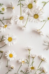 White flowers arranged on a clean white background, suitable for floral and minimalist concepts
