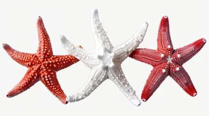 Tuinposter Three vibrant starfish on a clean white background, perfect for beach-themed designs © Fotograf